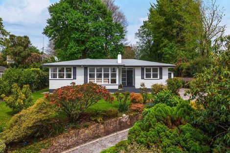 Photo of property in 14 Norrie Place, Putaruru, 3411