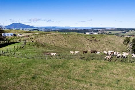 Photo of property in 545 Palmer Mill Road, Wairakei, Taupo, 3384