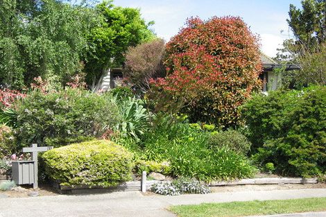 Photo of property in 11 Hammond Place, Witherlea, Blenheim, 7201