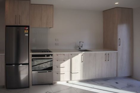 Photo of property in 103 Purchas Street, Edgeware, Christchurch, 8013