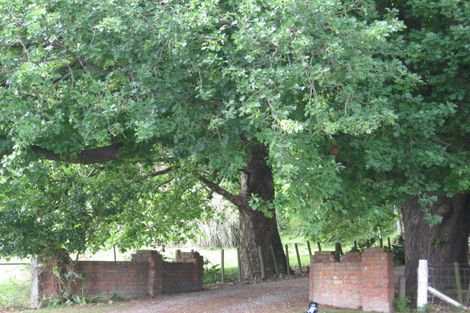 Photo of property in 60 Endcliffe Road, Kaiti, Gisborne, 4010