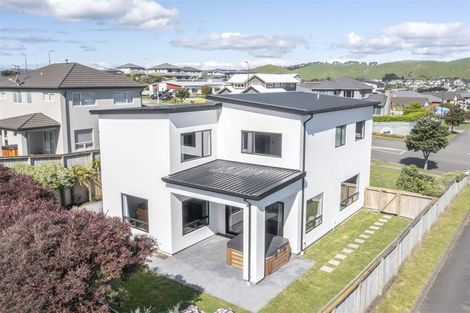 Photo of property in 68 Aotea Drive, Aotea, Porirua, 5024