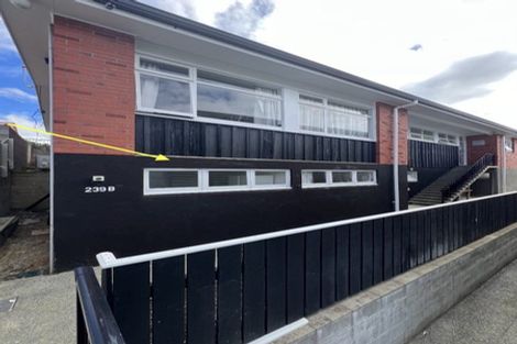 Photo of property in 2/239 Adelaide Road, Newtown, Wellington, 6021