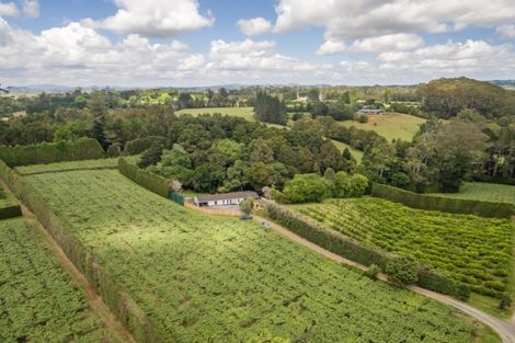 Photo of property in 33b Poplar Lane, Kerikeri, 0293