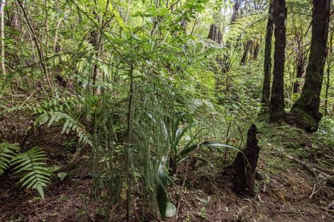Photo of property in 38 Our Road, Whangarei Heads, 0174