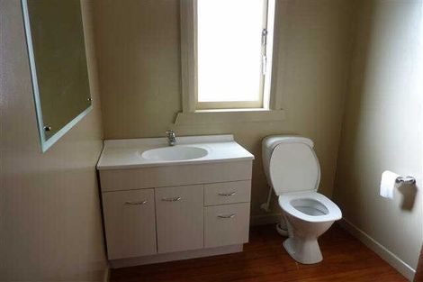 Photo of property in 24 Hinau Street, Maeroa, Hamilton, 3200