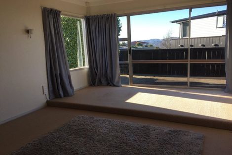 Photo of property in 221 Elgin Road, Balaclava, Dunedin, 9011