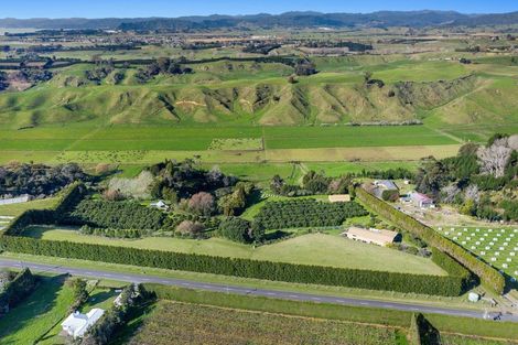 Photo of property in 333 Paerata Ridge Road, Waiotahe, Opotiki, 3198