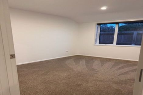 Photo of property in 113a Howick Road, Redwoodtown, Blenheim, 7201