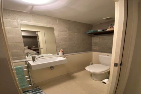 Photo of property in 3uh Papawai Terrace, Mount Cook, Wellington, 6021