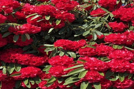 Photo of property in 1/54 Rutherford Street, Woolston, Christchurch, 8023