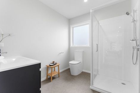 Photo of property in 41a Maxwell Avenue, Durie Hill, Wanganui, 4500