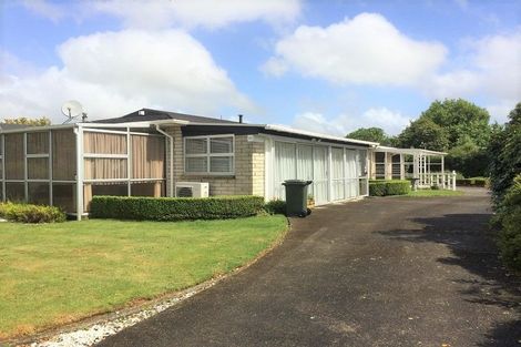 Photo of property in 34 Marlborough Street, Levin, 5510