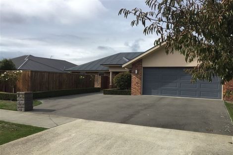 Photo of property in 19 Allison Crescent, Kaiapoi, 7630