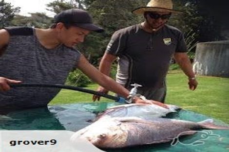 Photo of property in 502 Waipiro Road, Waipiro, Tokomaru Bay, 4079