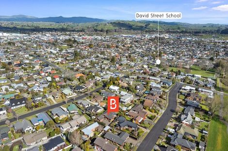 Photo of property in 20 Stirling Drive, Morrinsville, 3300