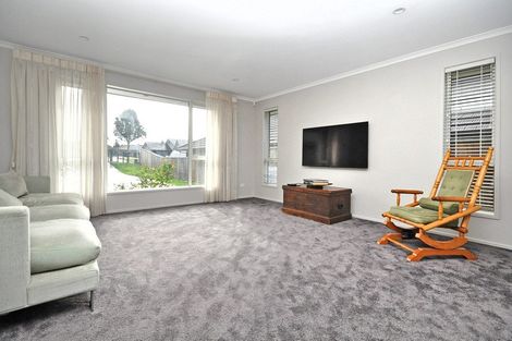 Photo of property in 14 Twomey Drive, Pukekohe, 2120