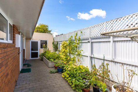 Photo of property in 3 Andrew Street, Blenheim, 7201