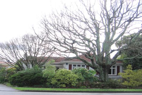 Photo of property in 19 Ihaka Street, Hokowhitu, Palmerston North, 4410