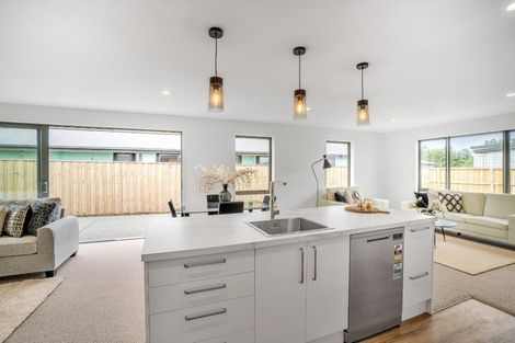 Photo of property in 39 Memorial Crescent, Methven, 7730