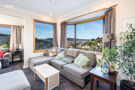 Photo of property in 461 South Road, Calton Hill, Dunedin, 9012