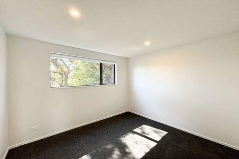 Photo of property in 4/46 Roker Street, Somerfield, Christchurch, 8024