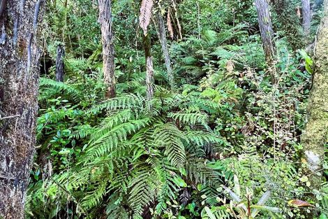 Photo of property in 754 Rutherglen Road, Marsden, Greymouth, 7872