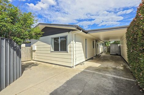 Photo of property in 721a Ngaio Street, Mahora, Hastings, 4120