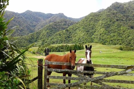 Photo of property in 445 Taita Road, Waimamaku, Kaikohe, 0473
