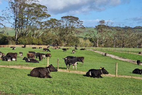 Photo of property in 1594 Millbrook Road, Taipuha, Paparoa, 0571