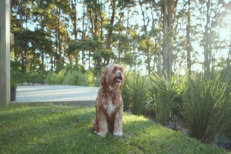 Photo of property in 629e Tara Road, Mangawhai, Kaiwaka, 0573