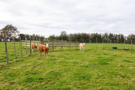 Photo of property in 187 High Street, Bulls, 4818