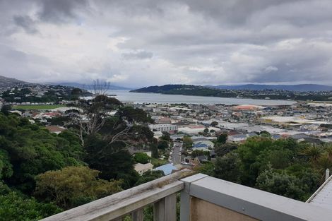 Photo of property in 60 Rodrigo Road, Kilbirnie, Wellington, 6022