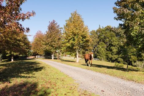 Photo of property in 1608e State Highway 10, Kerikeri, 0293