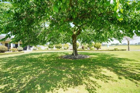 Photo of property in 388 Lorne Dacre Road, Roslyn Bush, Invercargill, 9876