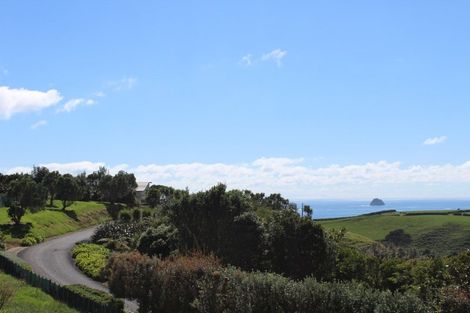 Photo of property in 29 Washer Road, Omata, New Plymouth, 4374