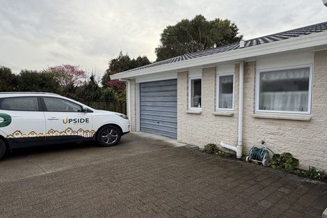 Photo of property in 127 Clarkin Road, Fairfield, Hamilton, 3214