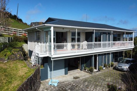 Photo of property in 42a Norwood Road, Paeroa, 3600