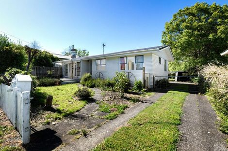 Photo of property in 55 Station Road, Paeroa, 3600