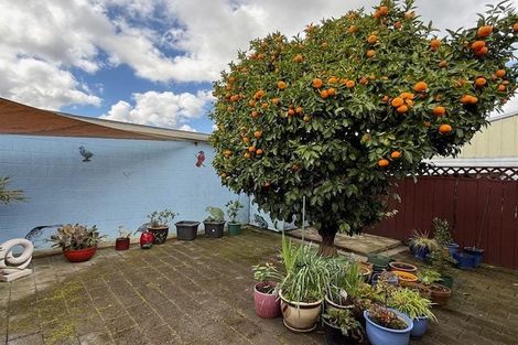 Photo of property in 96 Fitzroy Avenue, Fitzroy, Hamilton, 3206