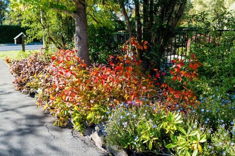 Photo of property in 6 Riccarton Road East, East Taieri, Mosgiel, 9024