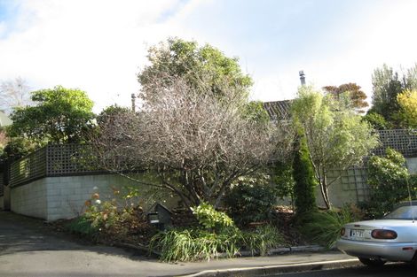 Photo of property in 25 Garden Place, Glenleith, Dunedin, 9010