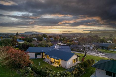 Photo of property in 11 Apatu Place, Waipukurau, 4200