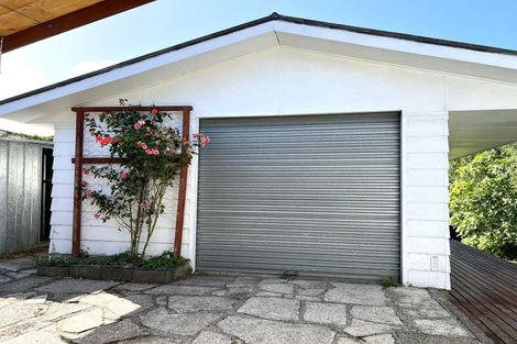 Photo of property in 21 Rimu Street, Te Kuiti, 3910