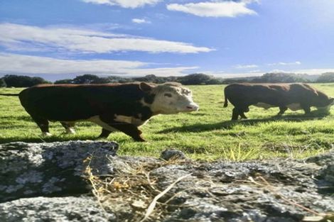 Photo of property in 121 Muir Avenue, Mangere Bridge, Auckland, 2022