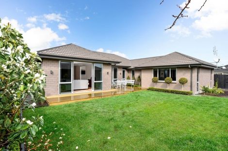 Photo of property in 49 Meadowfield Street, Flagstaff, Hamilton, 3210