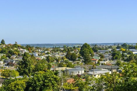 Photo of property in 28 Upland Street, Brookfield, Tauranga, 3110