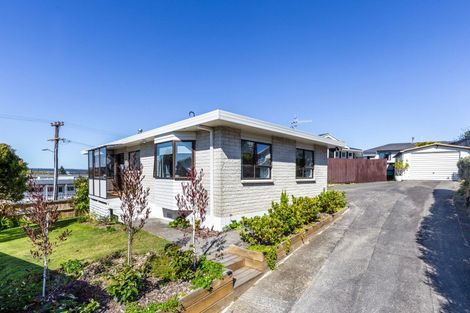 Photo of property in 46 Norman Smith Street, Nukuhau, Taupo, 3330