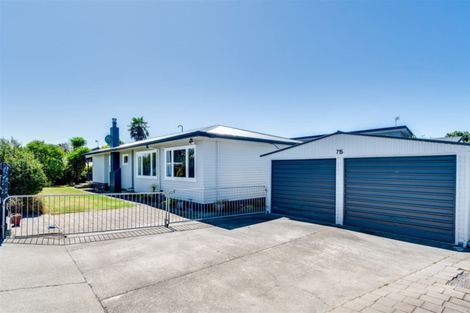 Photo of property in 715 Duke Street, Mahora, Hastings, 4120