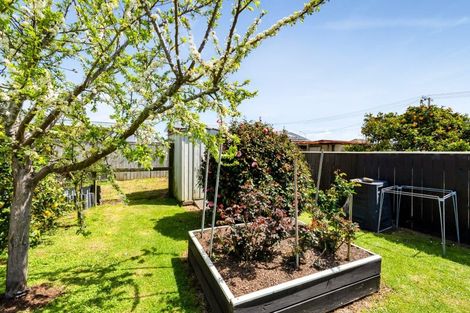 Photo of property in 45a Blake Street, Waitara, 4320